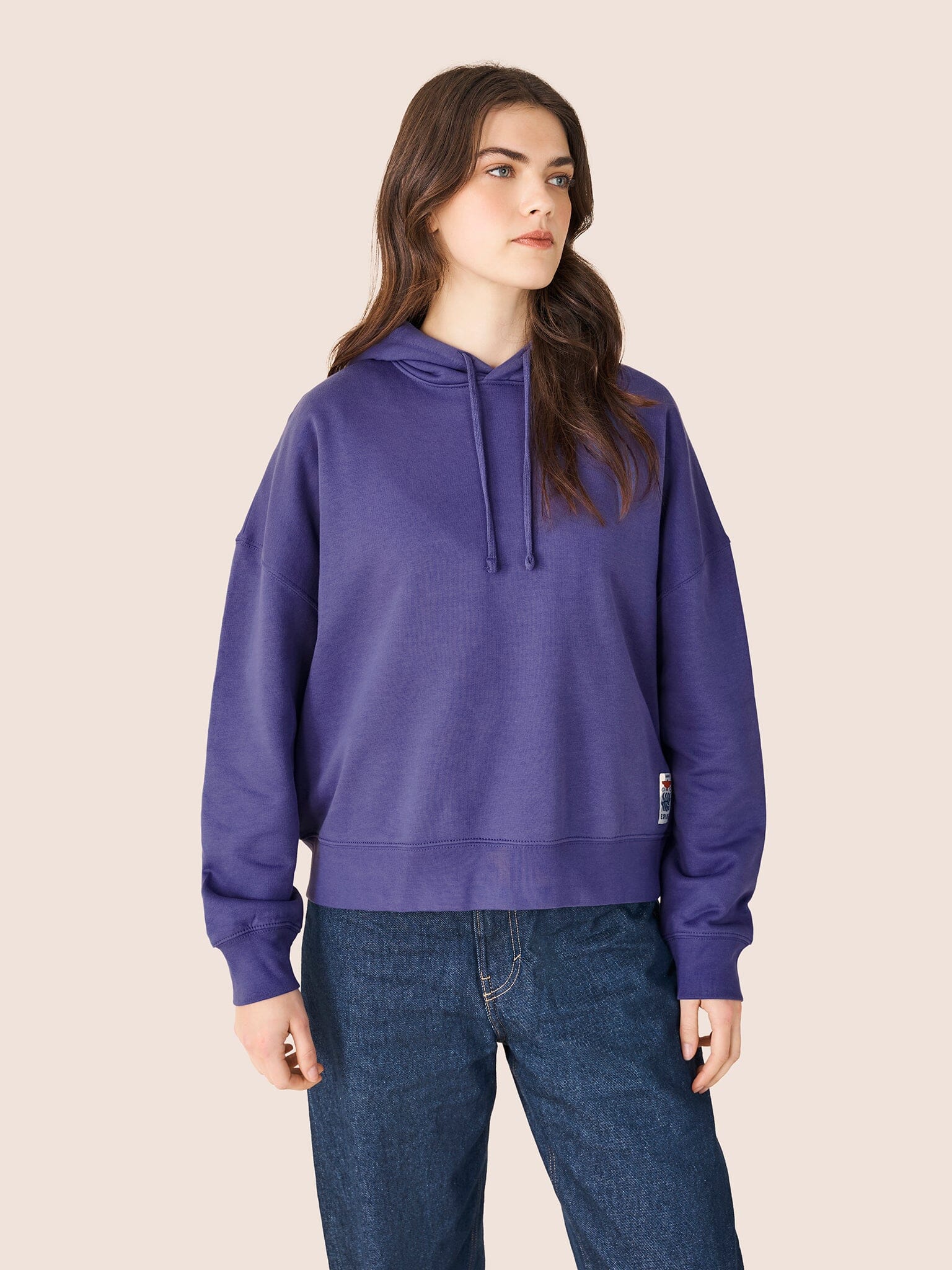 Atlas Organic Cotton Hoodie in Purple Layering- Gandys