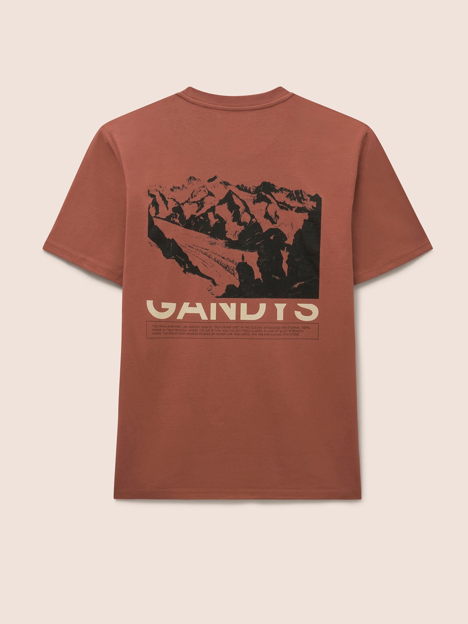 Clay Himalaya T-Shirt T-Shirts- Gandys