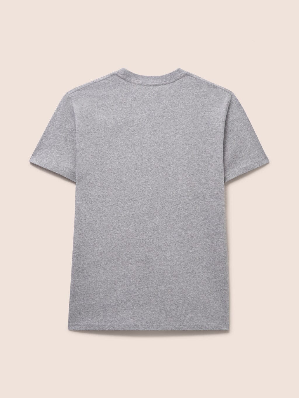 Grey Everest T-Shirt T-Shirts- Gandys
