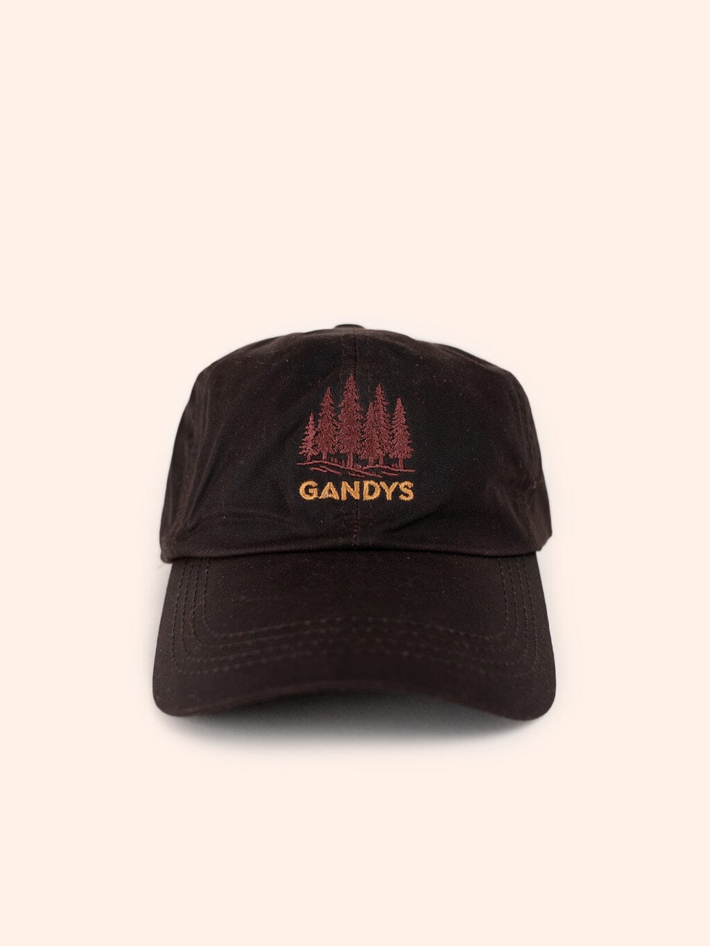 Tarn Waxed Cotton Baseball Cap in Brown Accessories- Gandys